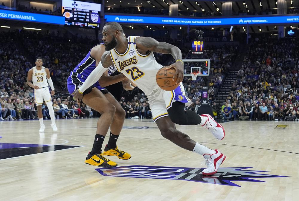 日本的芝野 日本的芝野