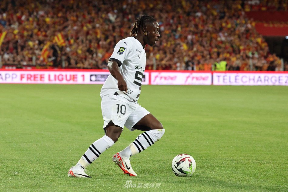 的结果来看 的结果来看